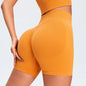 High Waist Seamless Shorts