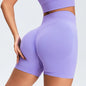 High Waist Seamless Shorts